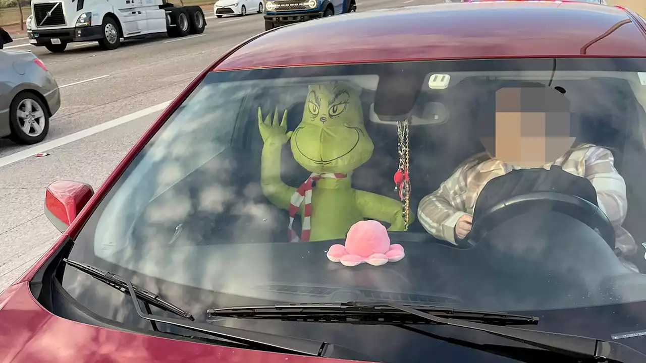 Inflatable Grinch Gets Arizona Driver In HOV Lane Ticketed | Carscoops