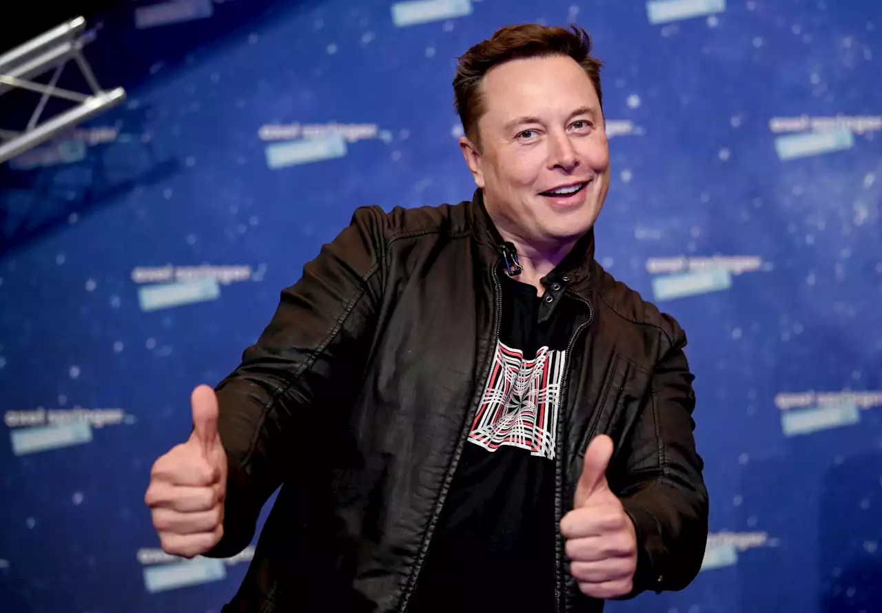 Elon Musk Twitter poll: majority vote for boss to step down