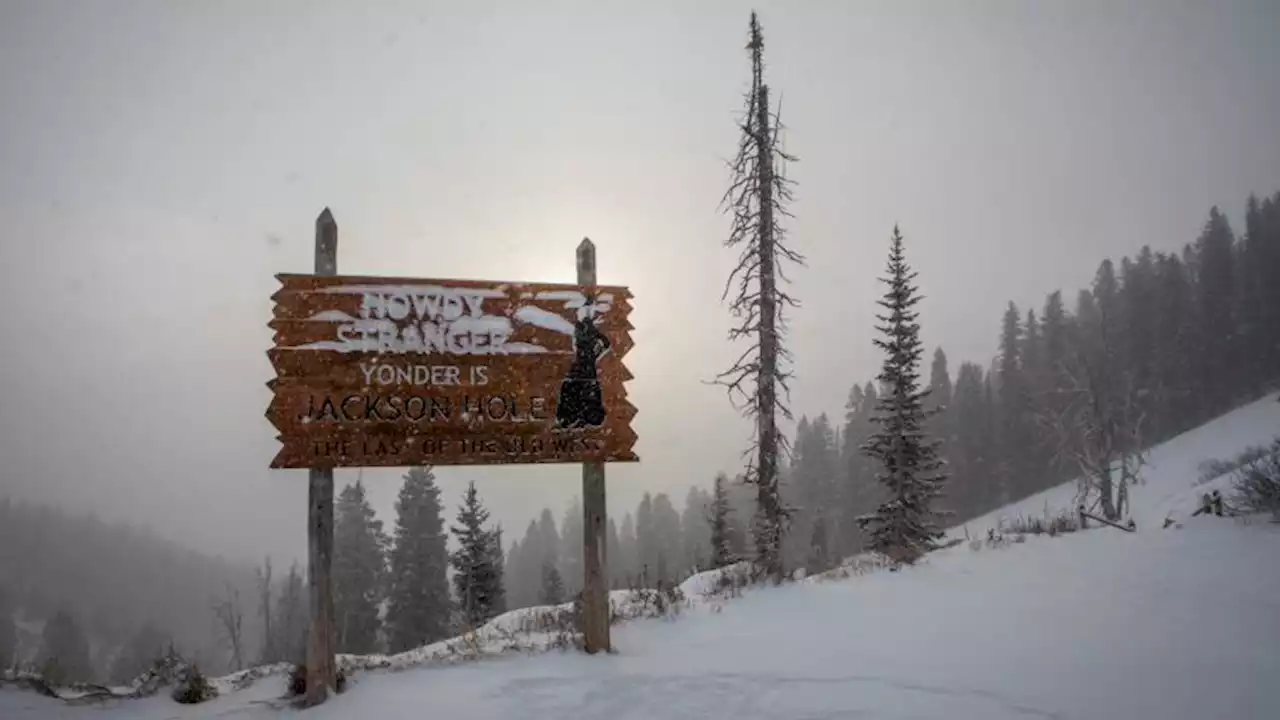 Skier survives after being carried 500 yards by an avalanche near Jackson Hole in Wyoming | CNN