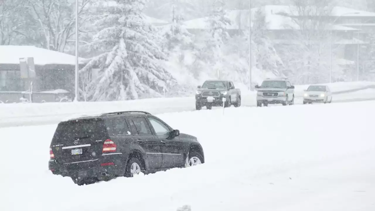 Thousands without power as snowstorm cancels ferries, suspends transit on Vancouver Island