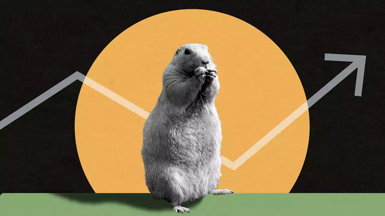 When the Groundhog Predicts an Early Spring, Investors Get Optimistic