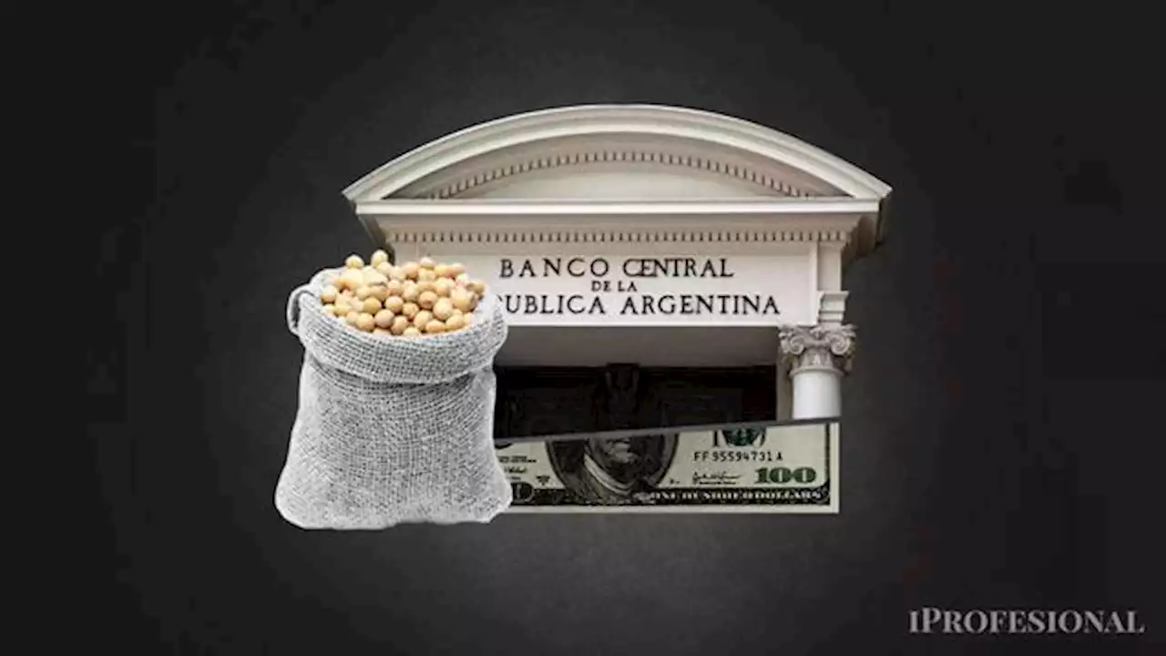 Dólar soja: BCRA suma reservas pero se calientan el blue y el MEP