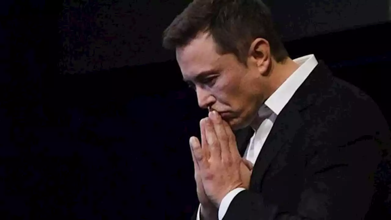 Elon Musk pierde sondeo sobre si debe seguir al frente de Twitter