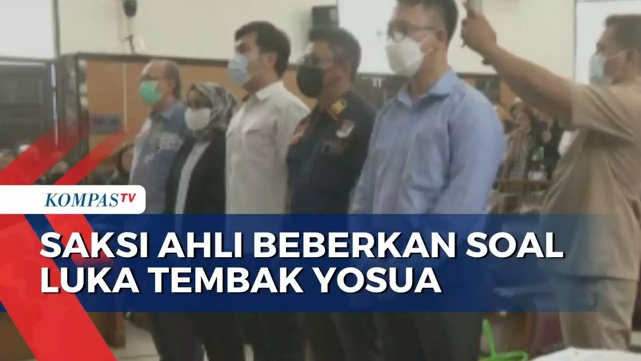 Sejumlah Saksi Ahli Beberkan Soal Luka Tembak Yosua Hingga Pelecehan Sesual Putri Sambo!