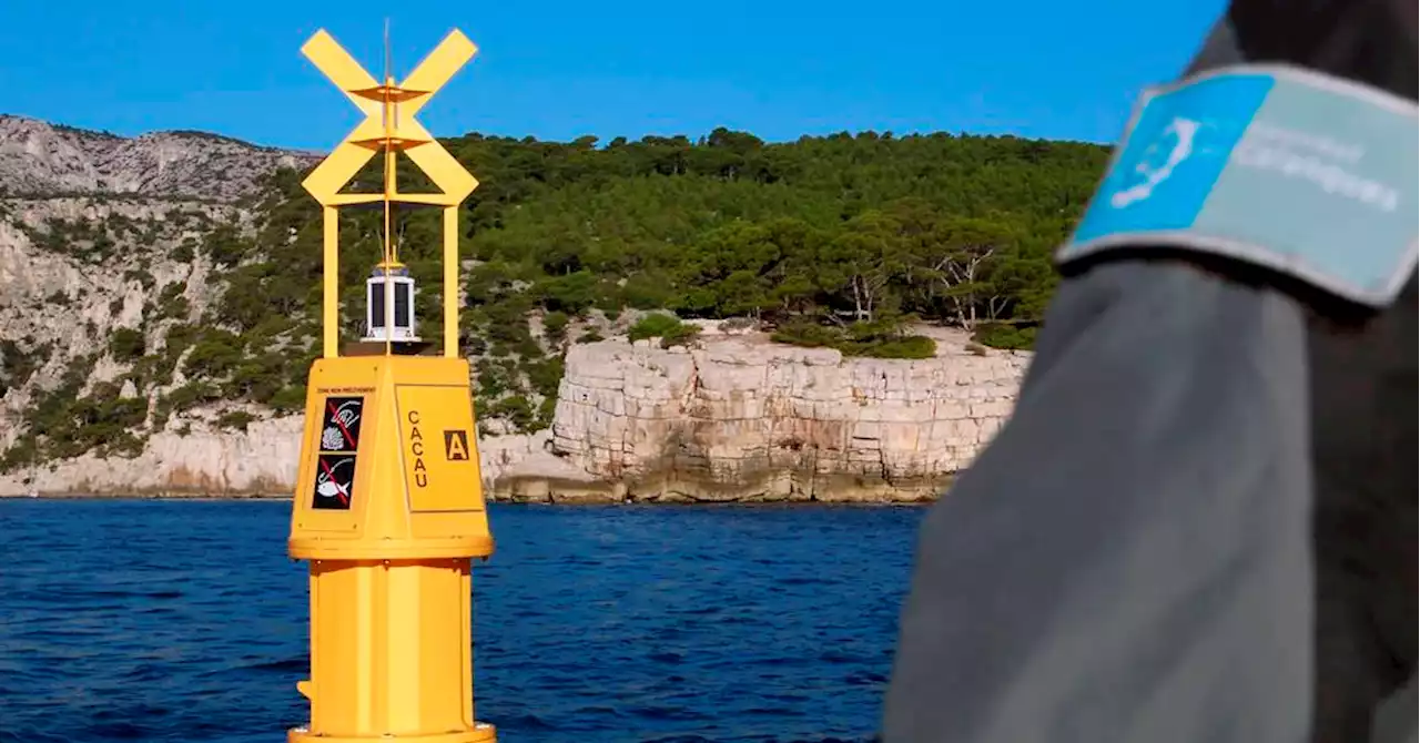 Marseille : alerte au braconnage dans les Calanques pour les fêtes