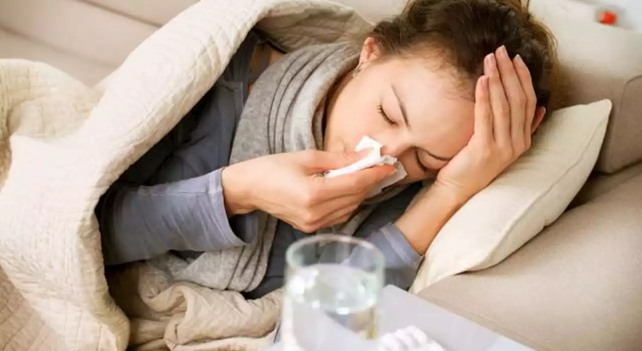 Influenza di Natale, il nuovo virus che «sembra Covid», ma non lo è: ecco i sintomi