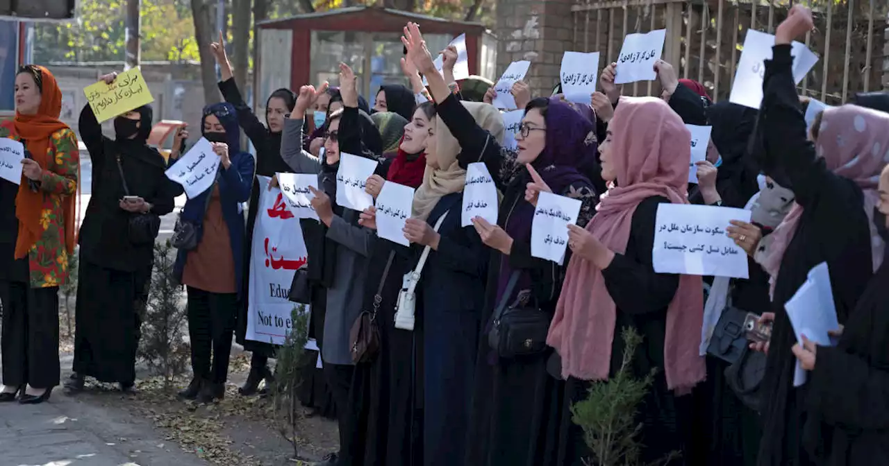 En Afghanistan, les talibans interdisent aux filles d’accéder à l’université