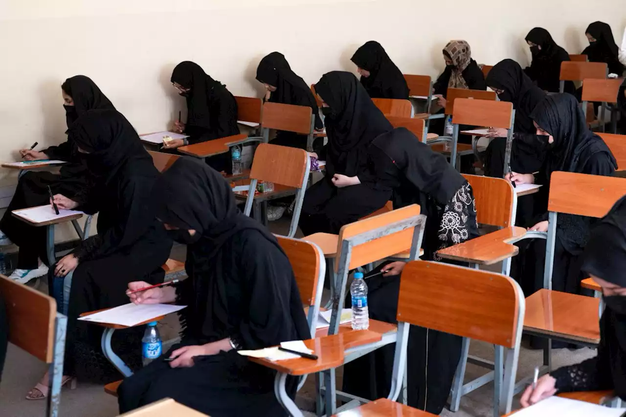 'Today is a dark day': Taliban bans women from universities in Afghanistan