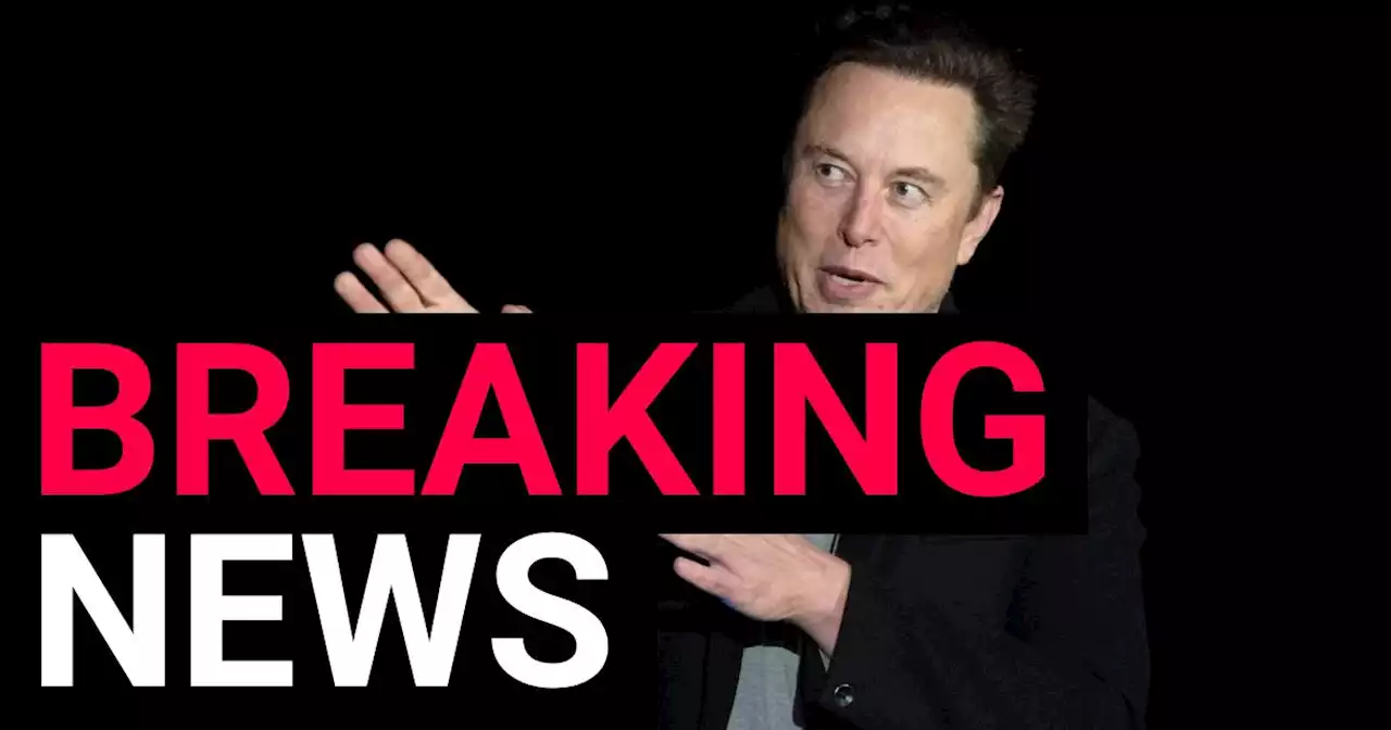 Elon Musk 'actively searching' for new Twitter CEO after disastrous poll