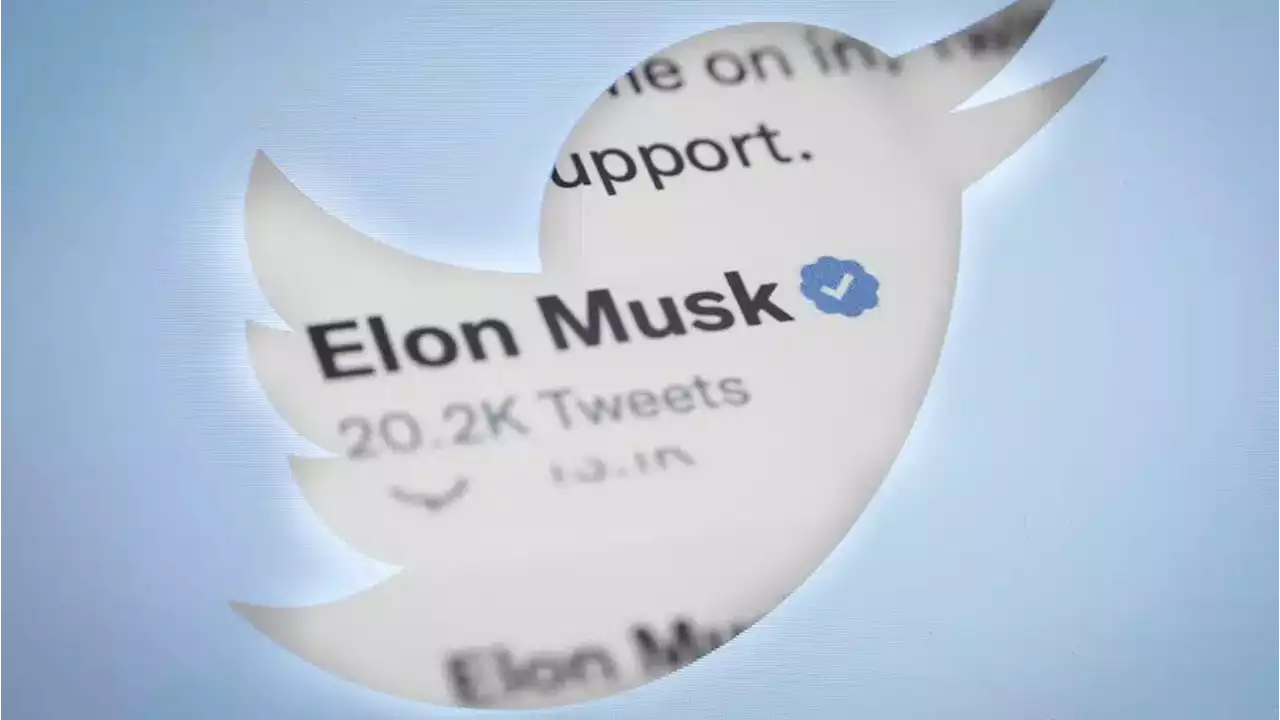 Elon Musk podría cambiar las encuestas en Twitter