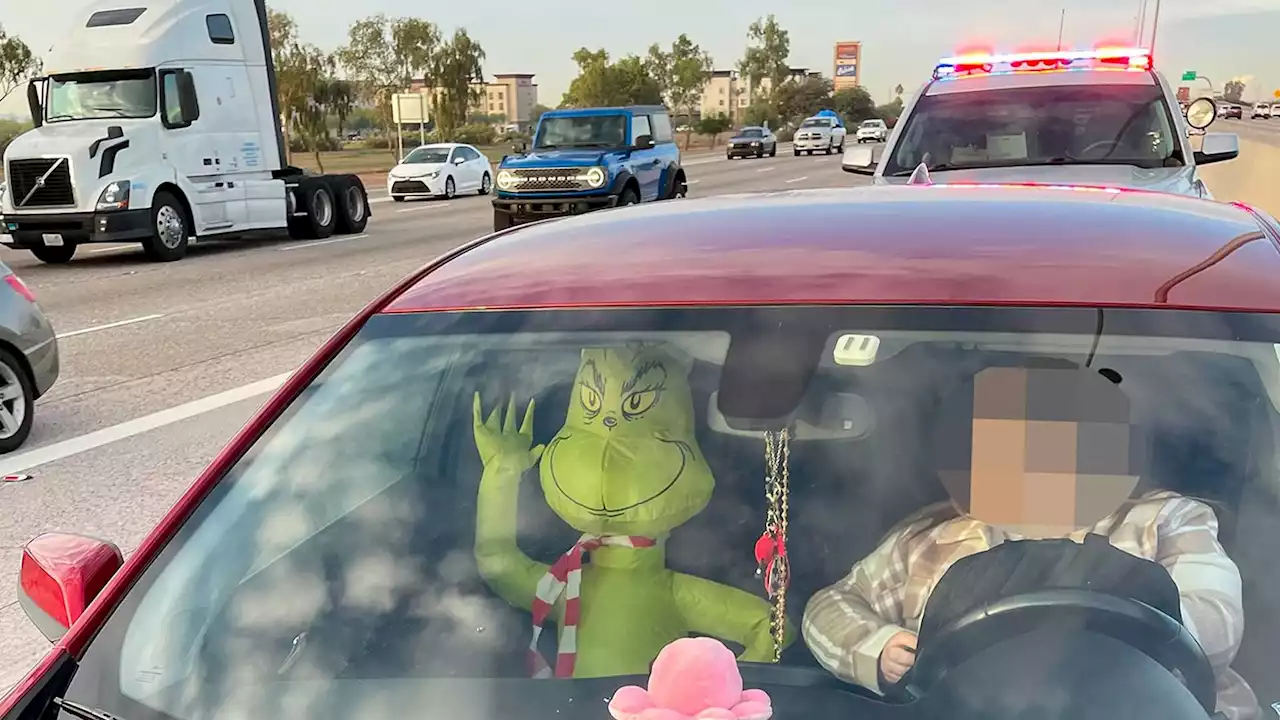 How the Grinch Stole a Free Ride in an Arizona HOV Lane