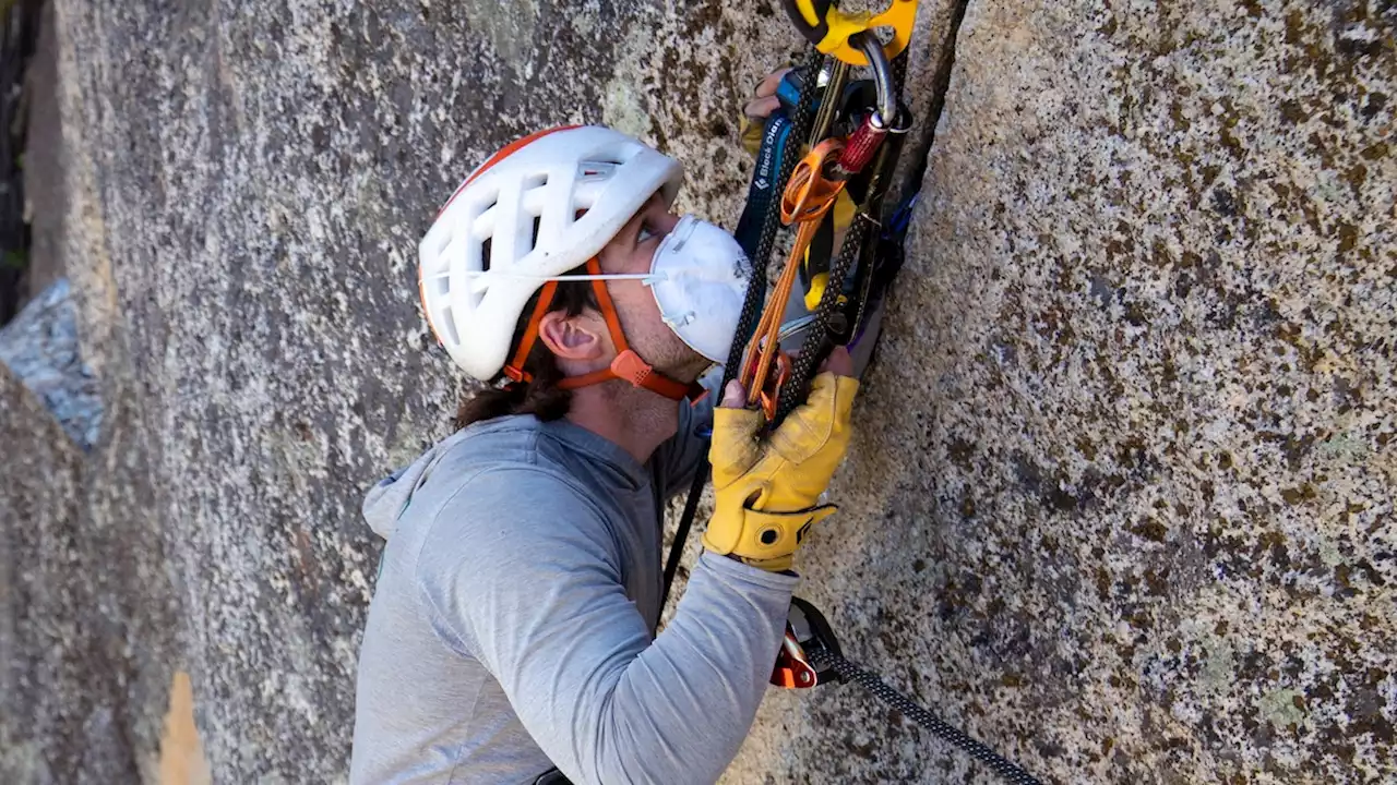 To save Yosemite’s bats, scientists need help finding them