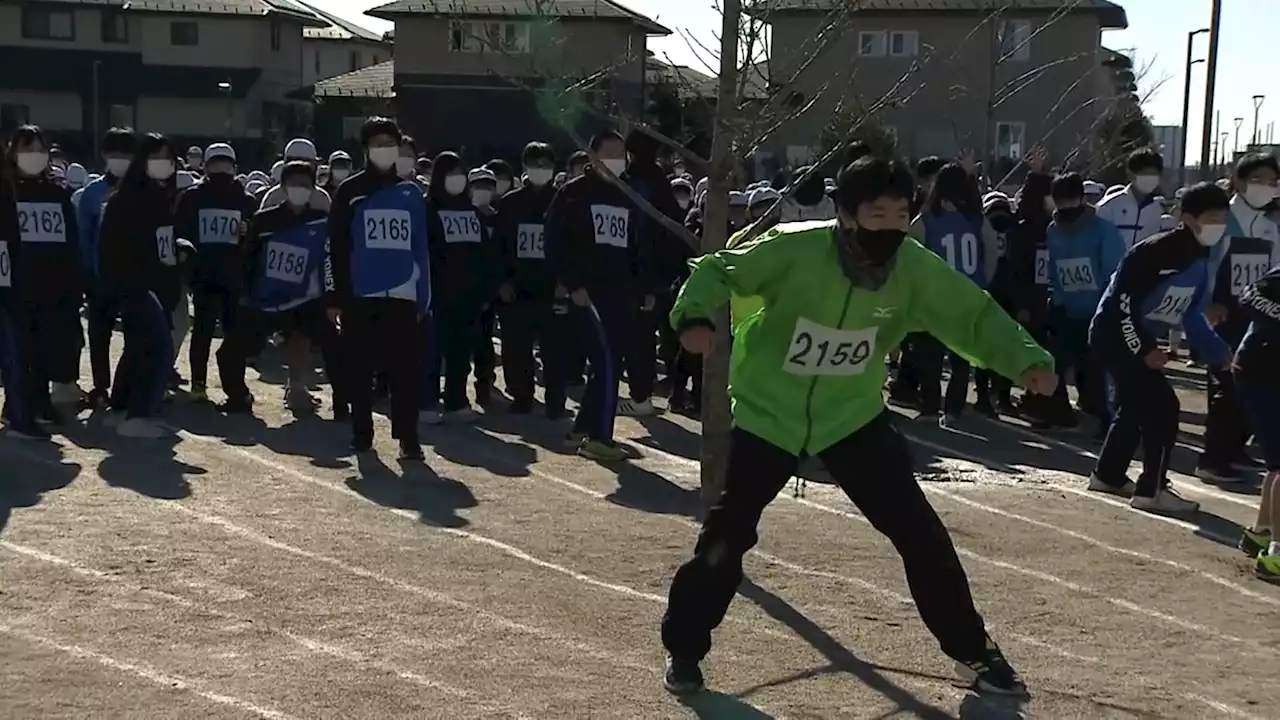 Japanese Students Set Red Light, Green Light World Record