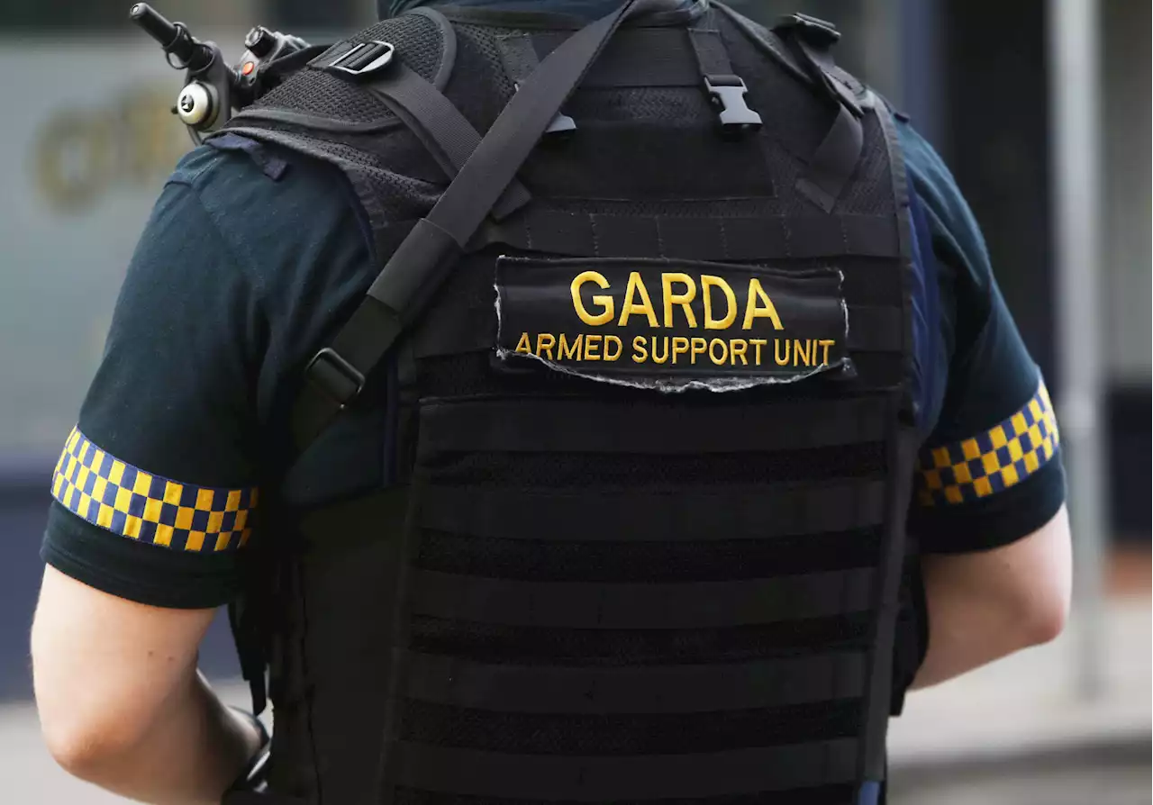 Rathkeale: Armed Gardaí called in after 'truly shocking' violent scenes