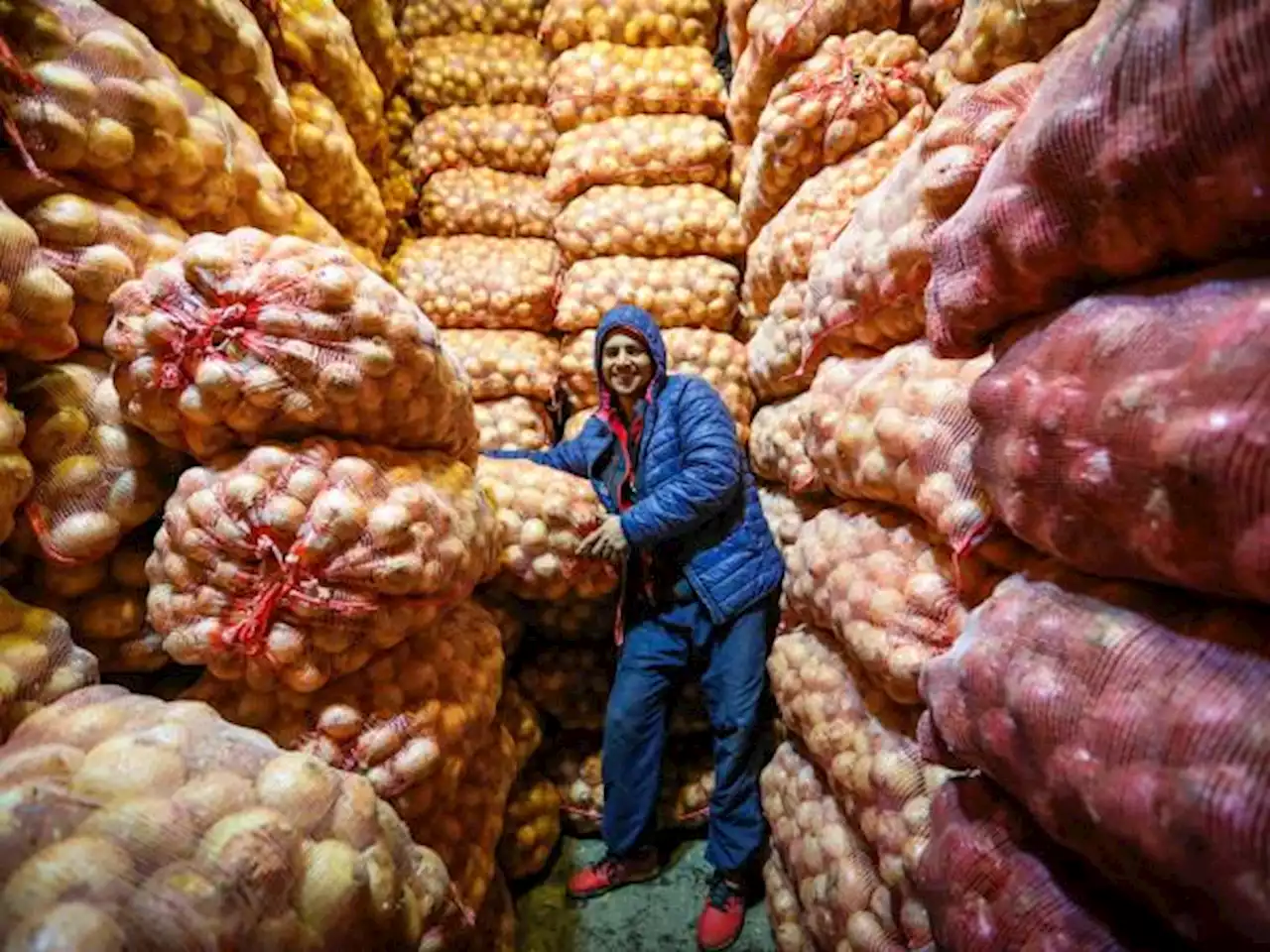 Precio de la papa y la cebolla subirá, según Corabastos