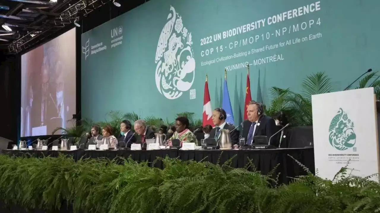 Conferencia ONU logra un acuerdo histórico de biodiversidad