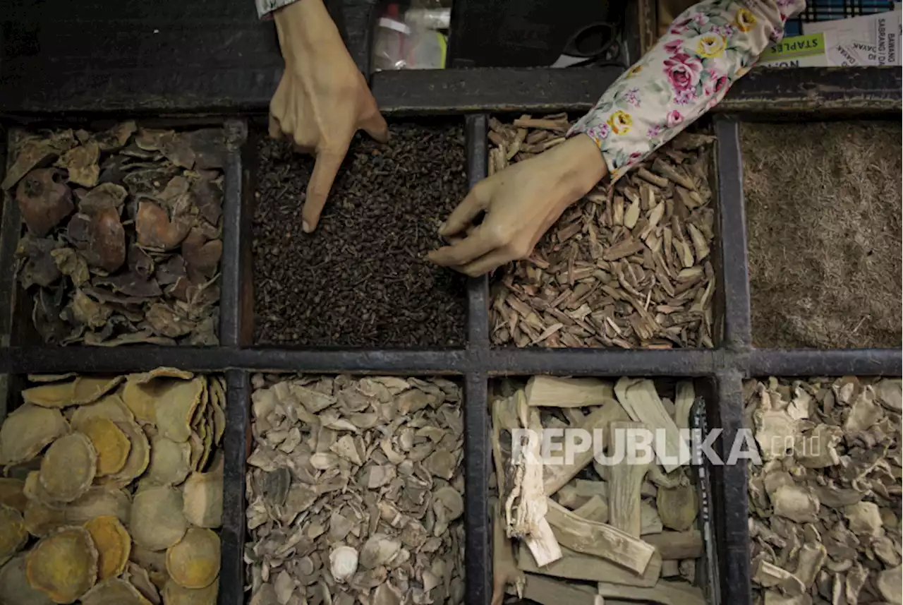 Indonesia Berpotensi Kembangkan Tanaman Sebagai Obat Tradisional |Republika Online