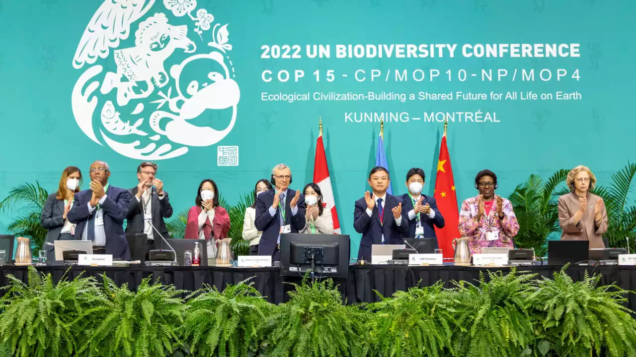 COP15: après l’accord, la difficile mise en œuvre de la protection de la biodiversité