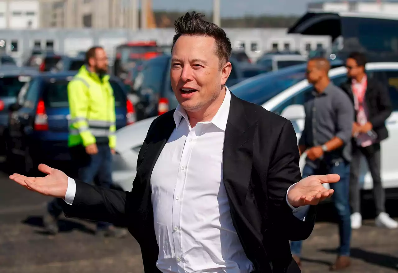 Elon Musk's antics are making Bay Area Tesla drivers squirm