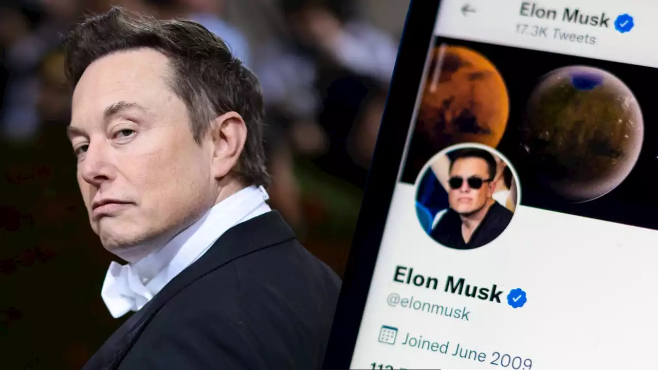 Elon Musk may step down as Twitter CEO