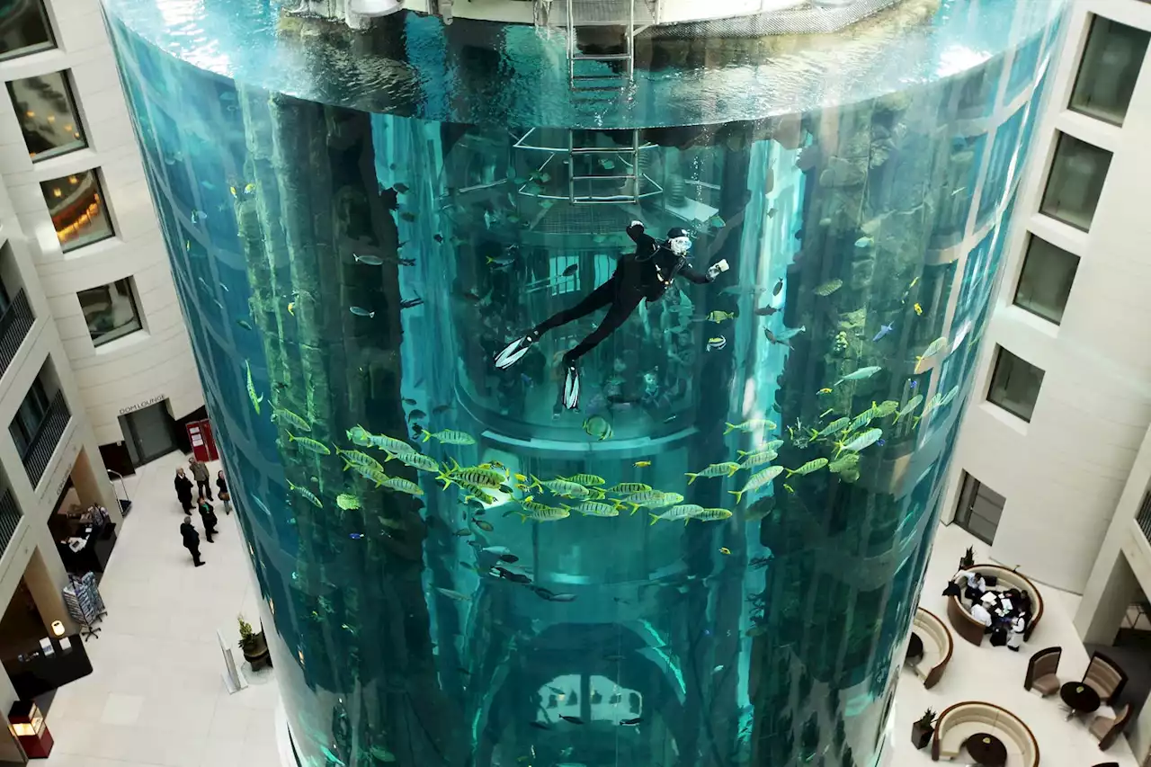 A Gigantic Aquarium Exploded in Berlin and Germans Are Worried It’s a Metaphor