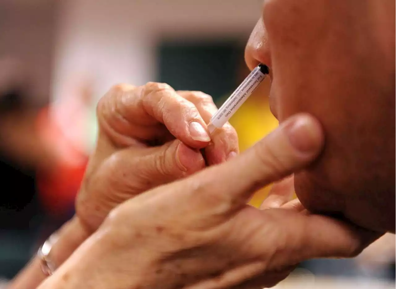 Atouts et défis de la vaccination nasale anti-Covid : les promesses d’une approche française