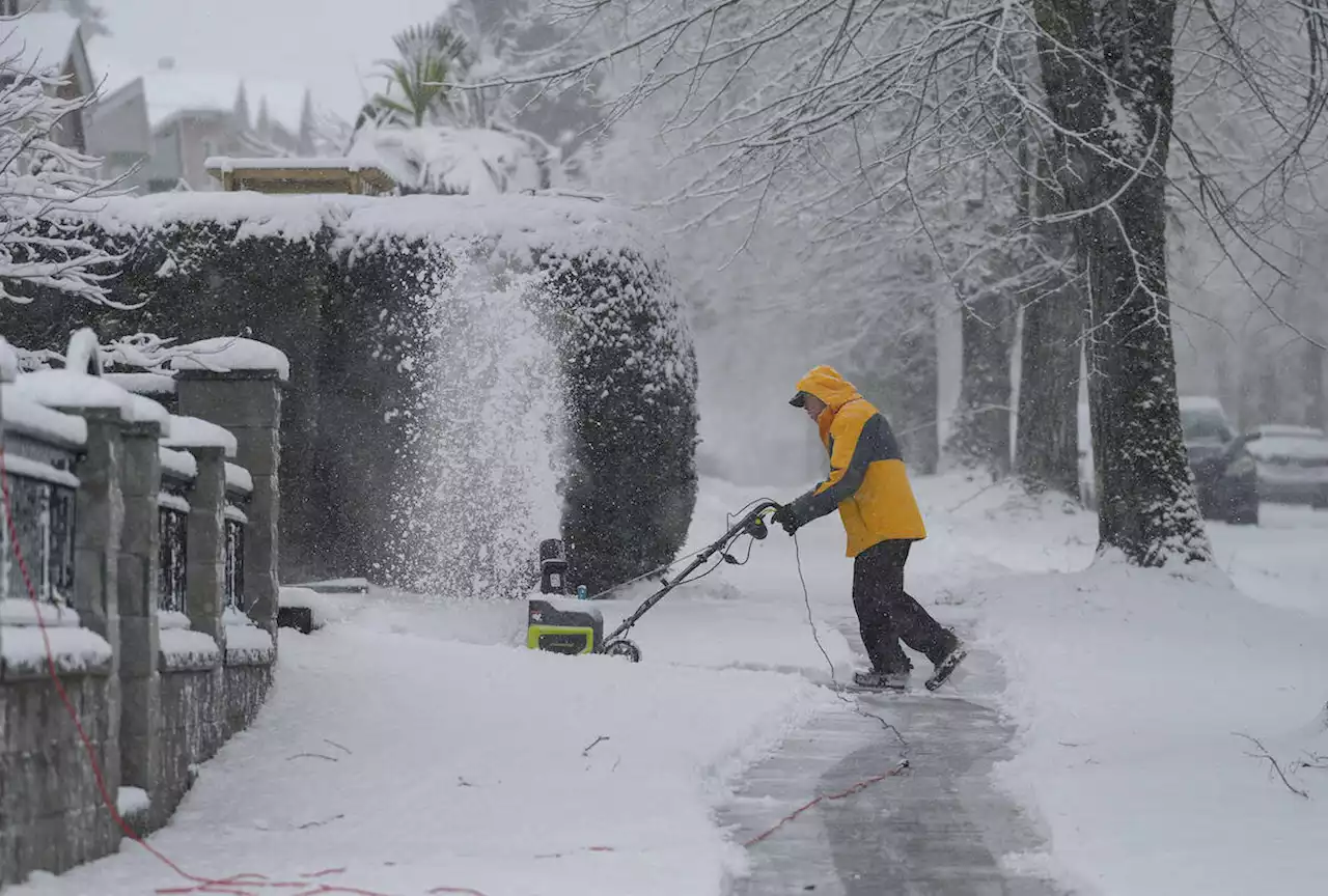 Cancellations at YVR airport, BC Ferries as heavy snow and extreme cold blankets B.C. - Terrace Standard