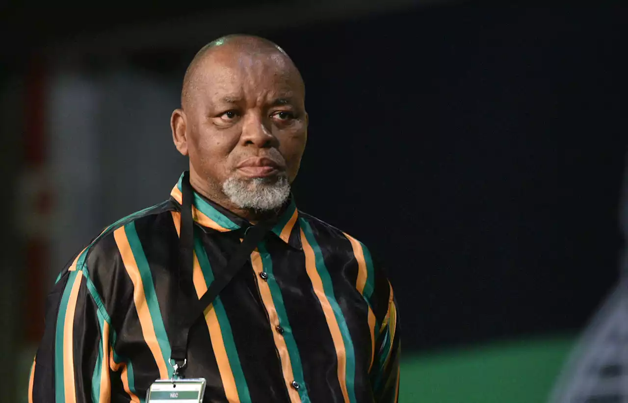 ANC55: Mantashe says he was asked for R100k in exchange for votes | The Citizen