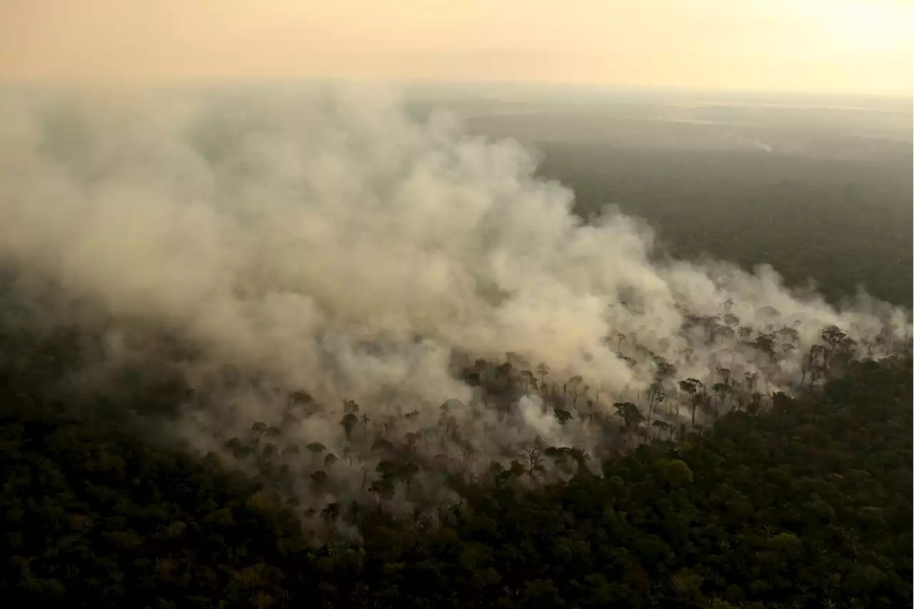 World governments agree biggest conservation area in history as part of deal to save the planet