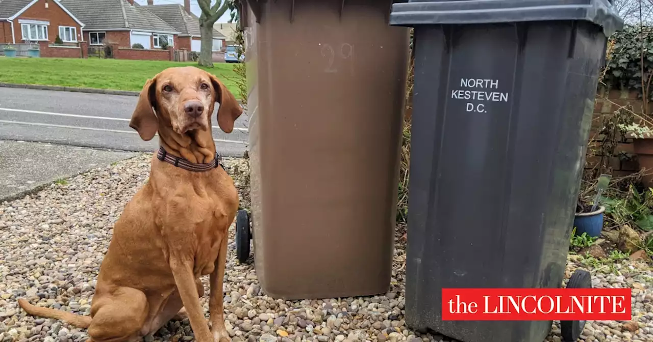 Christmas and New Year bin schedules for all Lincolnshire councils