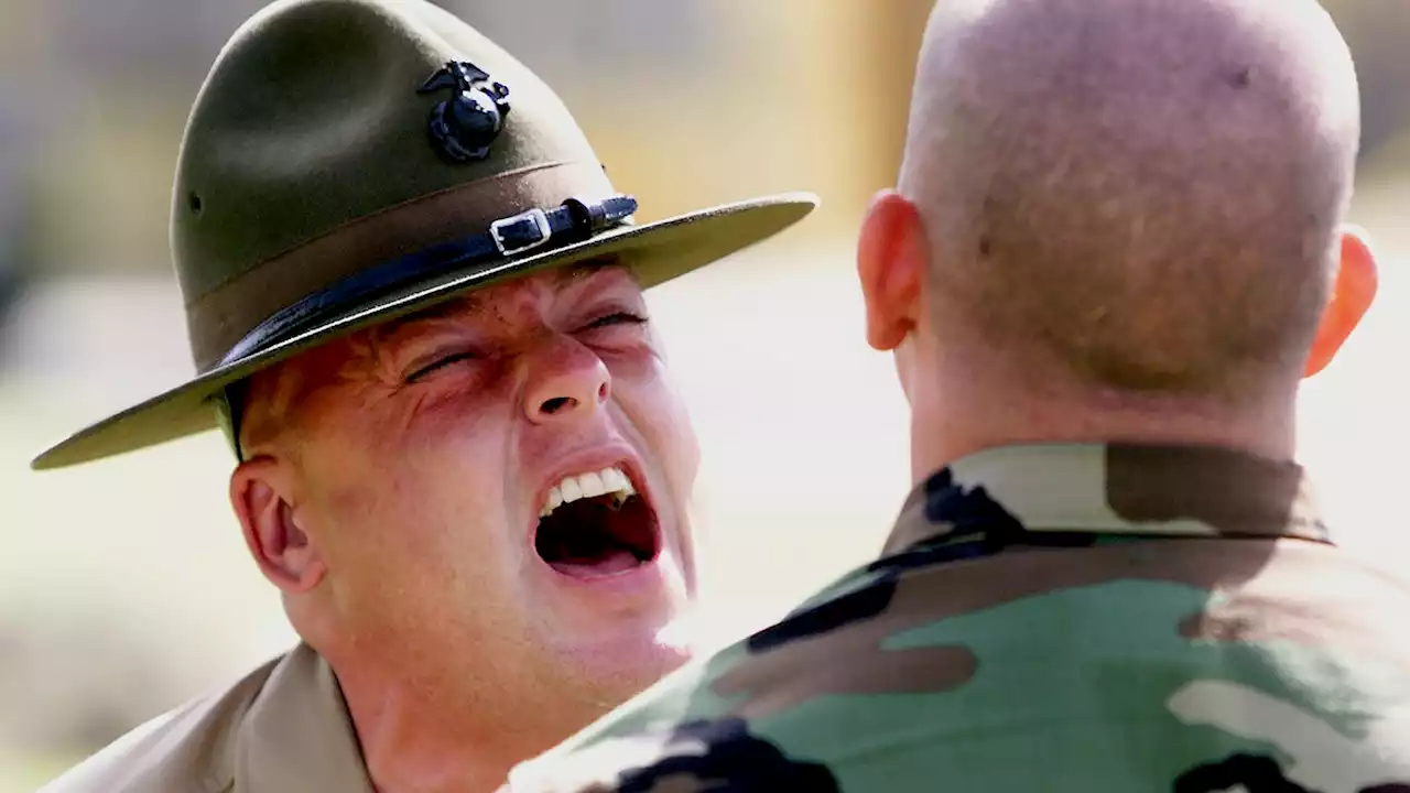 Drill Sergeant Struggling To Communicate That New Recruits Are, In Fact, The Worst He’s Ever Seen