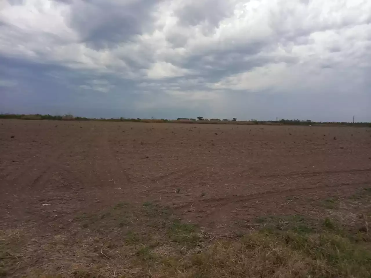 Las lluvias de Navidad aliviarían al campo pero no alcanzarían para revertir la sequía