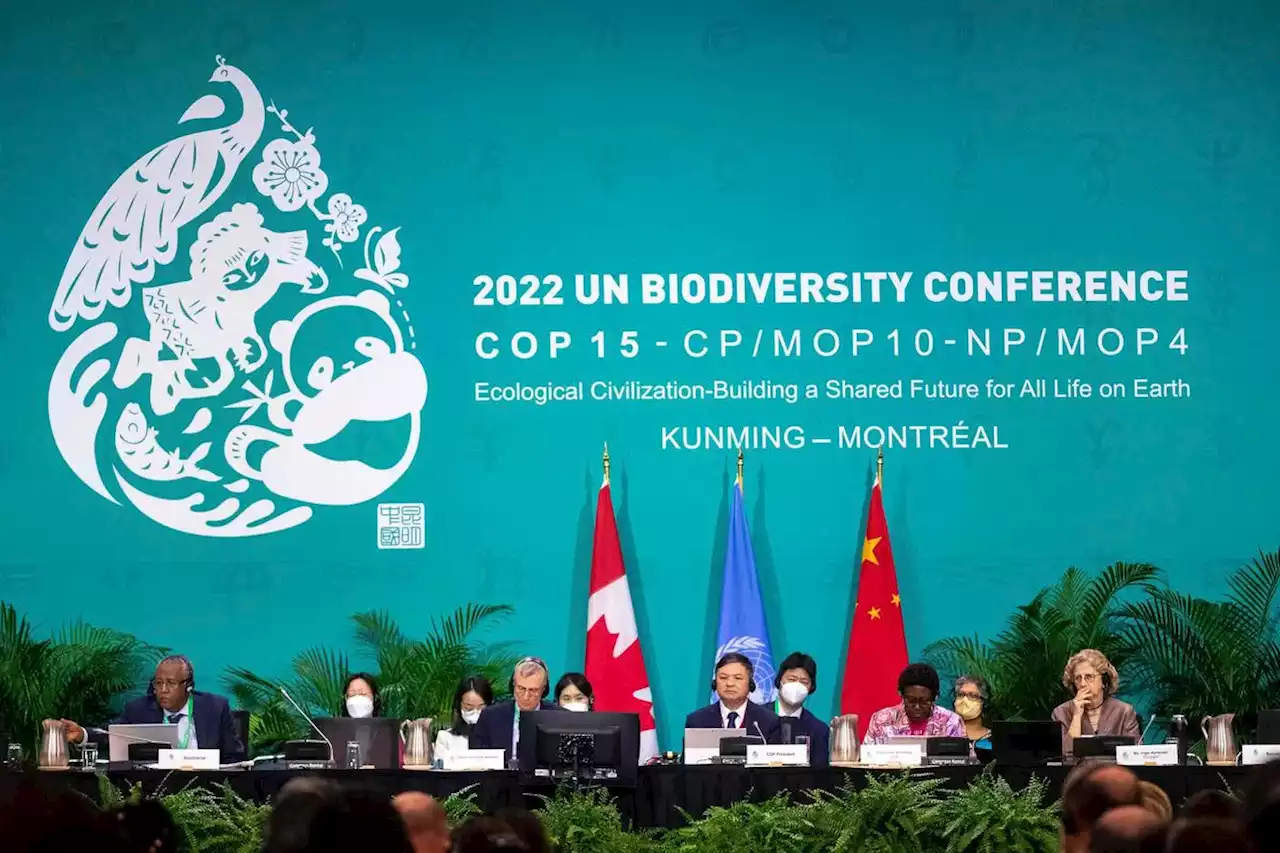 Here’s how Canada and other countries just agreed to protect the planet at COP15 in Montreal