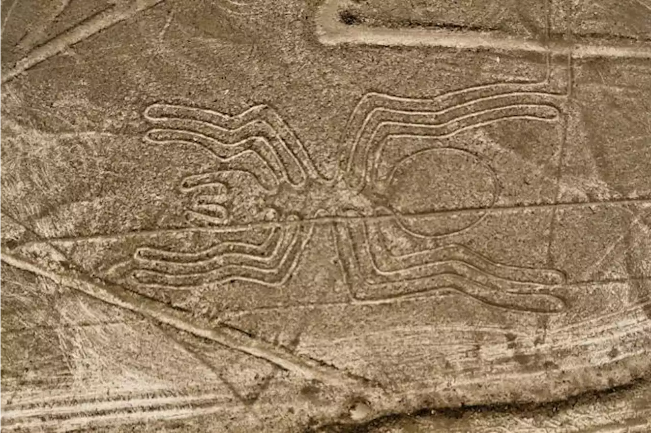 Pesquisadores descobrem mais de 100 desenhos inéditos nas linhas de Nazca