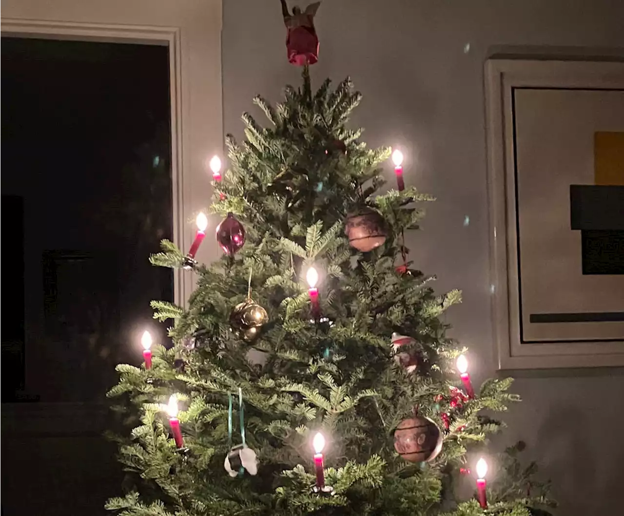 ‘Tell me those aren’t real candles’: my combustible Christmas tree