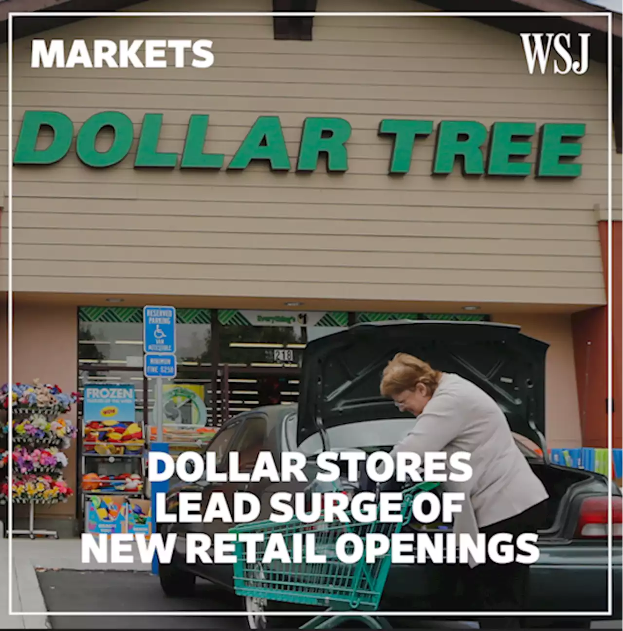 Dollar Stores Lead a Surge in New Retail Openings