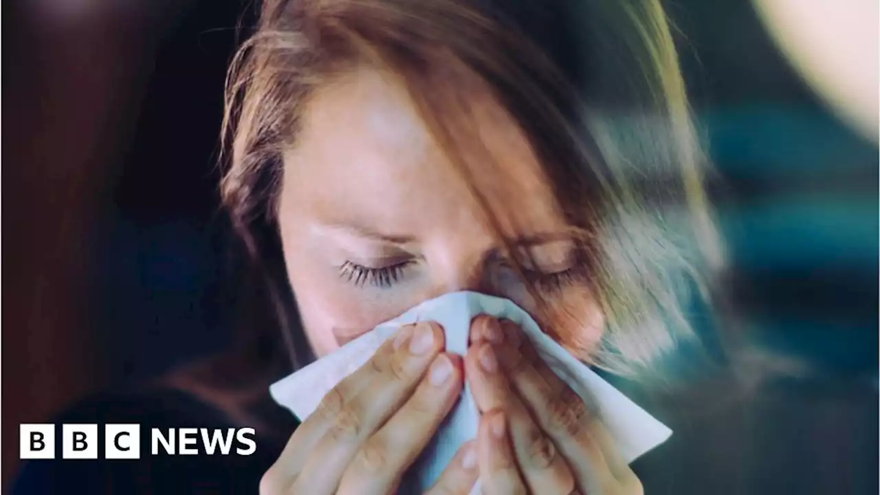 Flu rates in Scotland at highest level since 2017