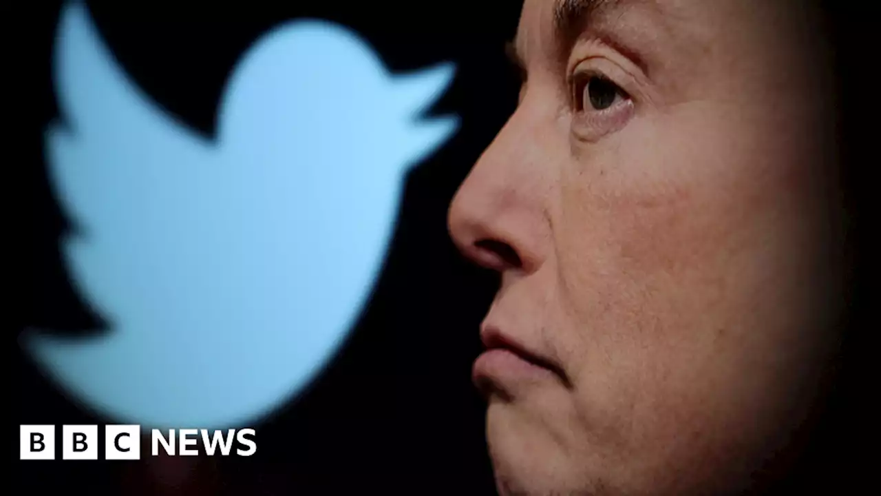 Elon Musk to quit as Twitter CEO when replacement found