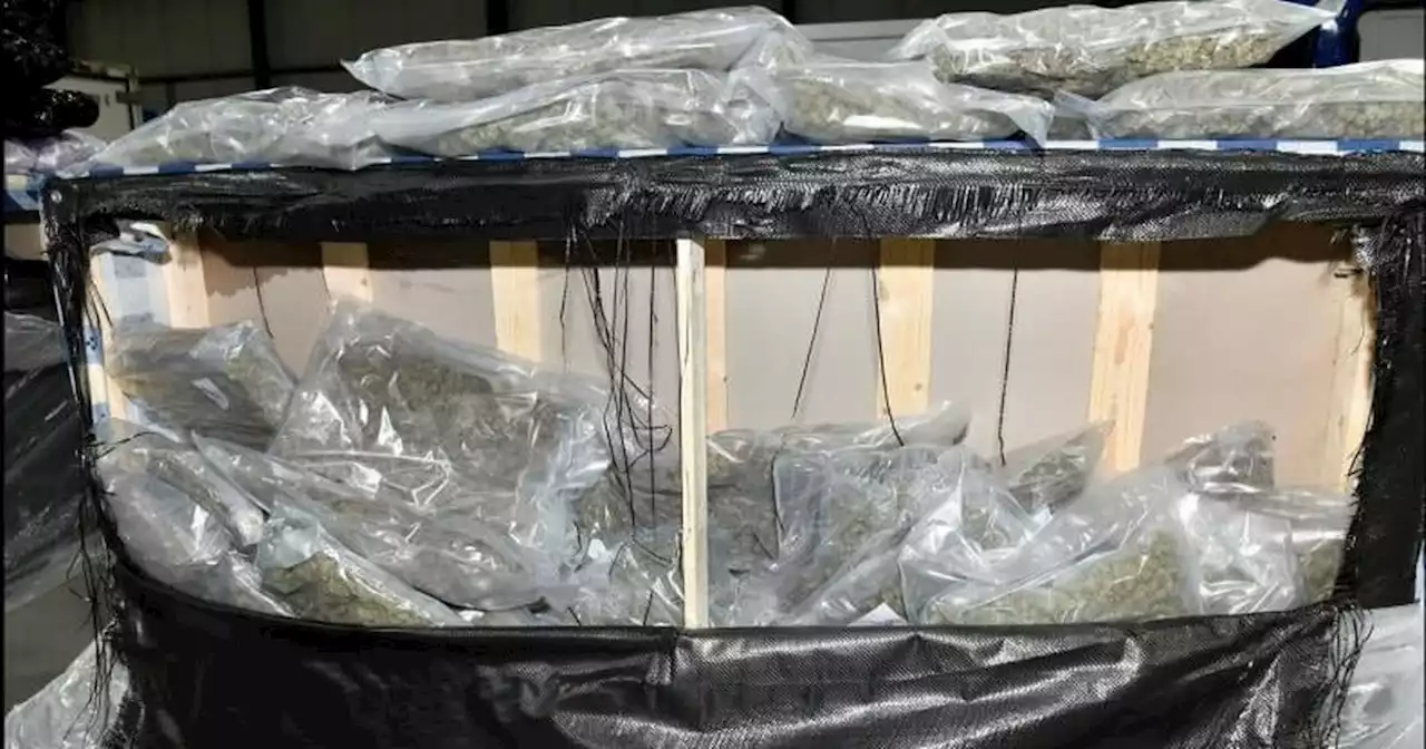 Man remanded over Christmas after £1m worth of cannabis found inside beds