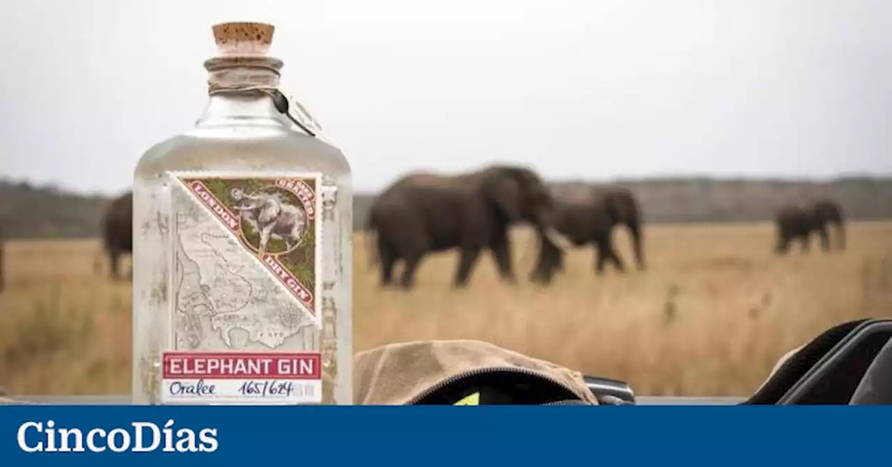 Compagnia Dei Caraibi adquiere el 100% de Elephant Gin por 15,6 millones