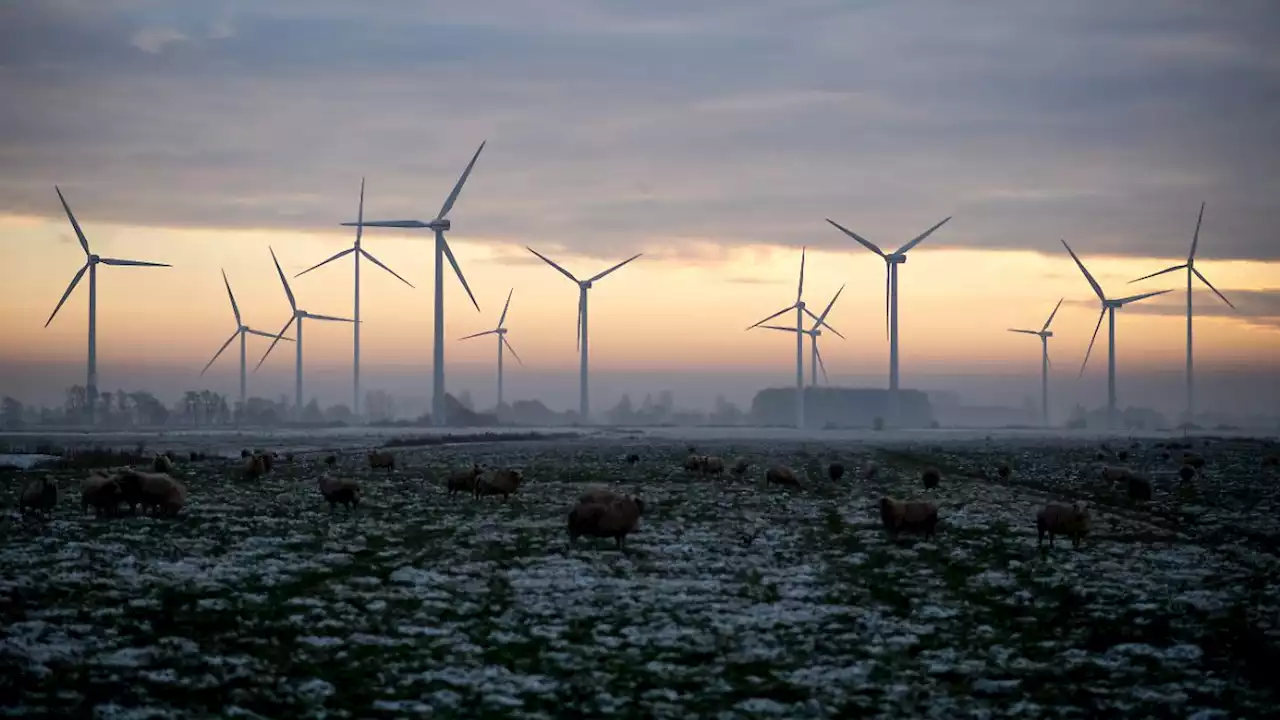 Habeck sieht Windkraft-Ausbau in Schwung kommen