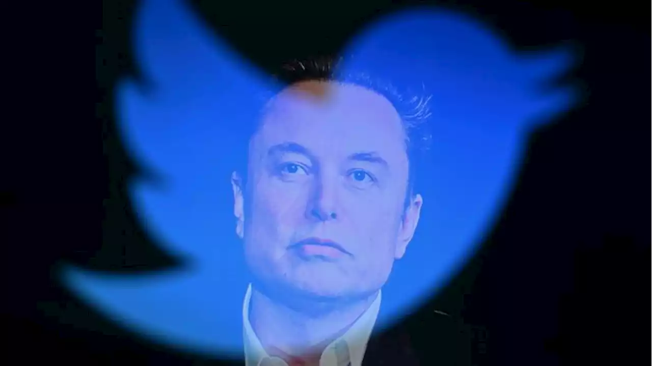 Elon Musk kündigt Rücktritt als Twitter-Chef an