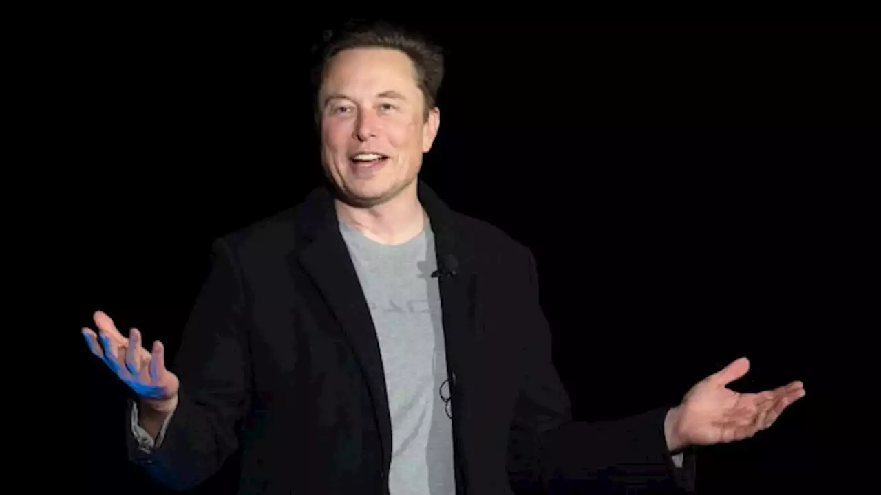 Elon Musk tries to explain why Tesla shares are tanking