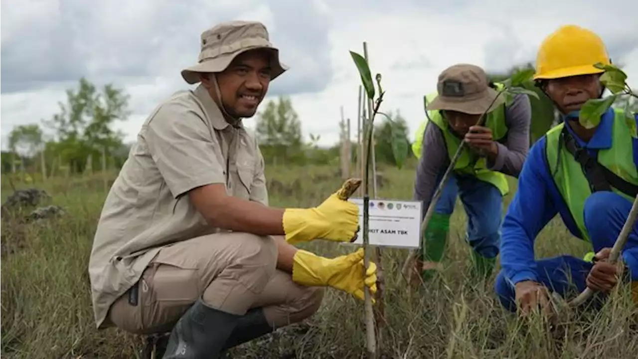 PTBA Lestarikan Habitat Burung & Mangrove di Alanggantang