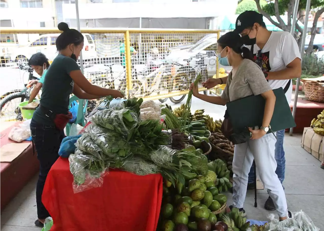 DA: EO 171 extension aims to cushion food inflation