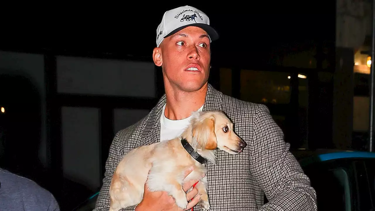 Yankees name Aaron Judge captain as slugger braves cold weather with his dog