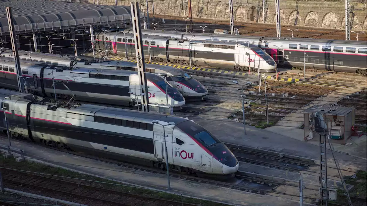 Grève à la SNCF : un train 'spécial qui ira du nord au sud' ramènera au moins 450 enfants dans leur famille pour le week-end de Noël