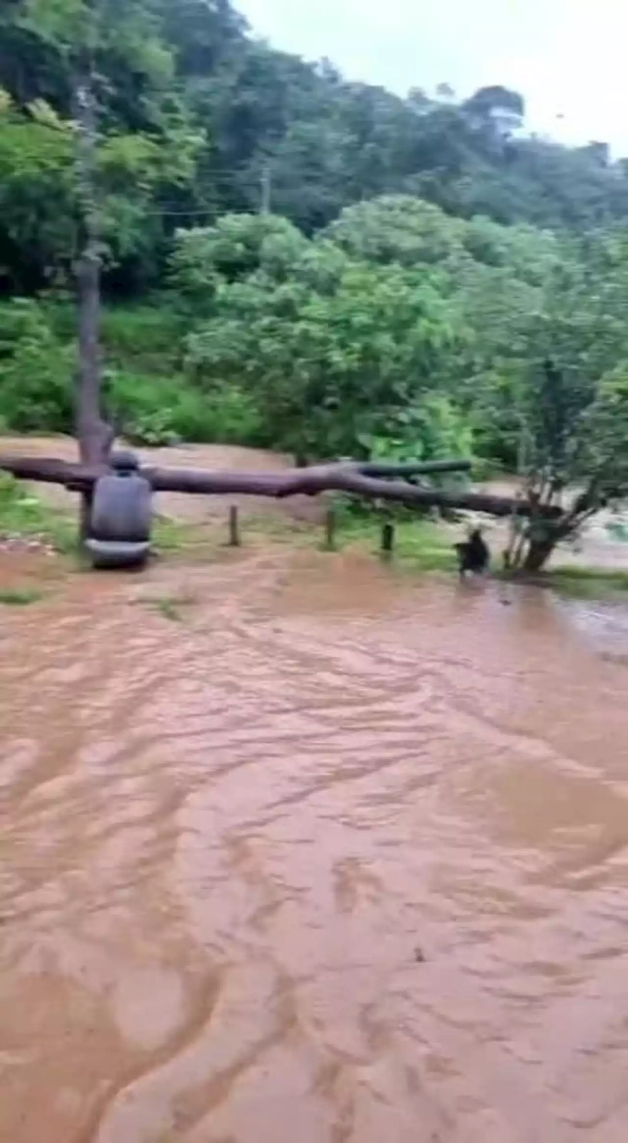 Chuva provoca transbordamento de rio e deixa ruas alagadas em BH e Sabará