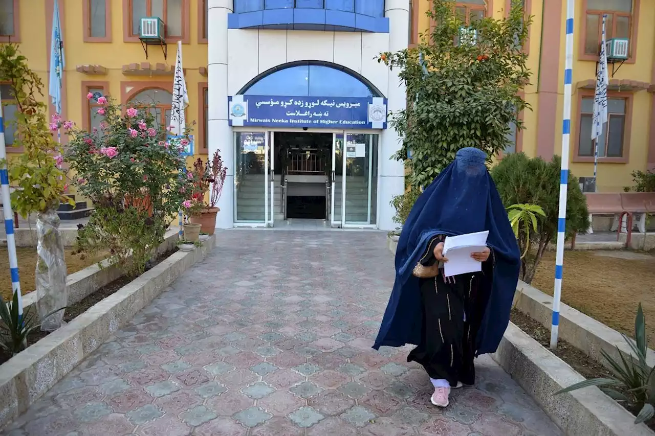 ‘Hugs, screams and cries’: Afghan women anguished at university ban