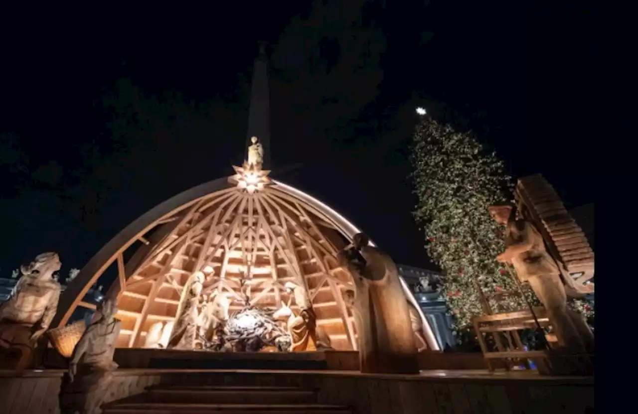 Pope invites us to learn 2 values from Christmas tree and crib